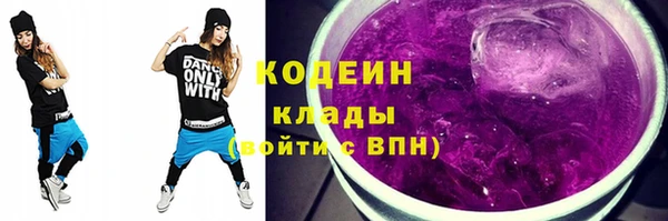 ПСИЛОЦИБИНОВЫЕ ГРИБЫ Арсеньев