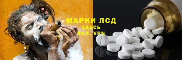 ПСИЛОЦИБИНОВЫЕ ГРИБЫ Арсеньев