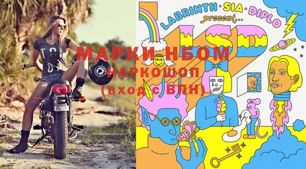 дурь Аркадак