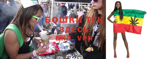 прущие грибы Зеленокумск