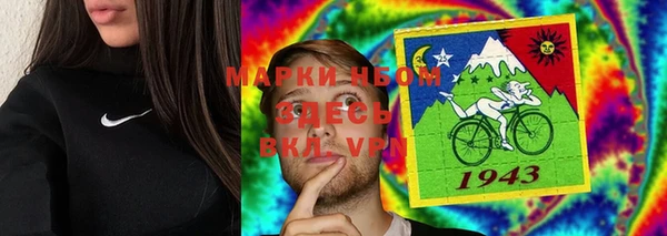 ПСИЛОЦИБИНОВЫЕ ГРИБЫ Арсеньев