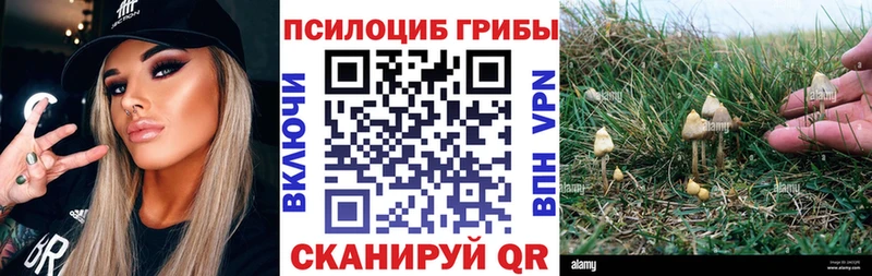 Псилоцибиновые грибы ЛСД Рыбное